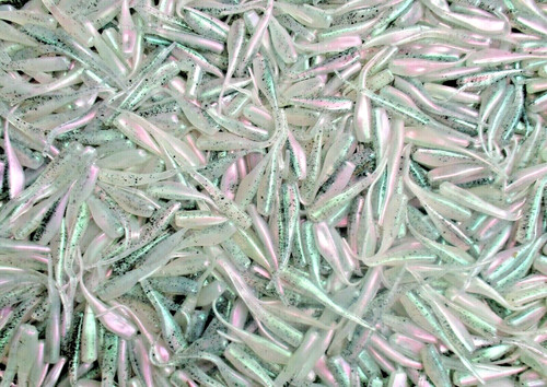 50ct rainbow trout - 50ct,